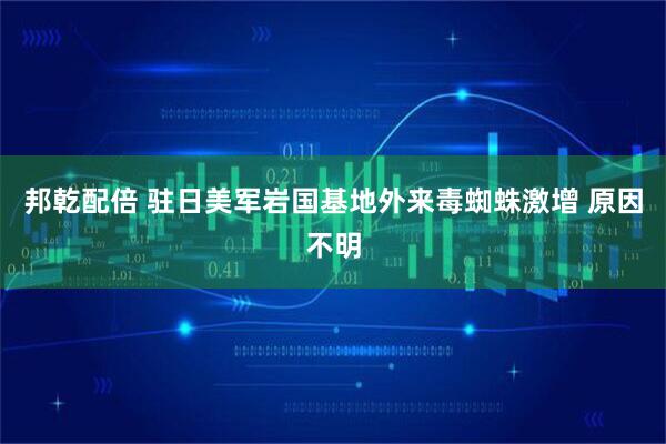 邦乾配倍 驻日美军岩国基地外来毒蜘蛛激增 原因不明