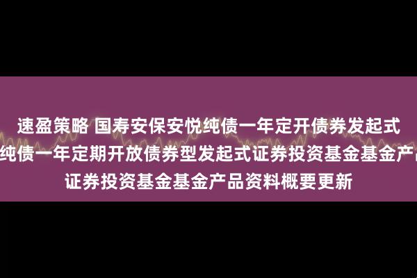 速盈策略 国寿安保安悦纯债一年定开债券发起式: 国寿安保安悦纯债一年定期开放债券型发起式证券投资基金基金产品资料概要更新