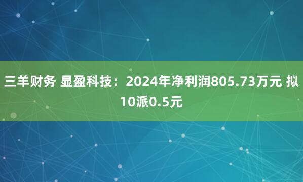 三羊财务 显盈科技：2024年净利润805.73万元 拟10派0.5元
